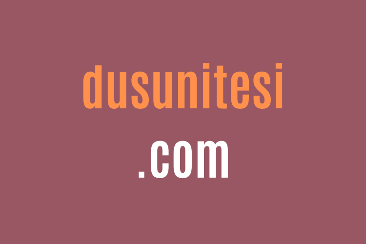 dusunitesi.com